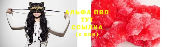марки nbome Гусев