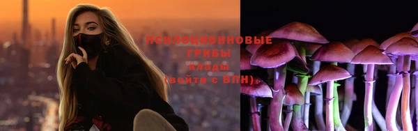 марки nbome Гусиноозёрск