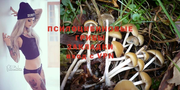 марки nbome Гусиноозёрск