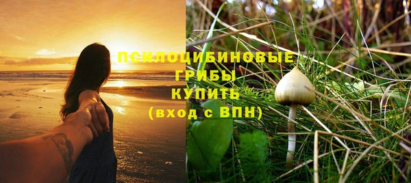 марки nbome Гусиноозёрск