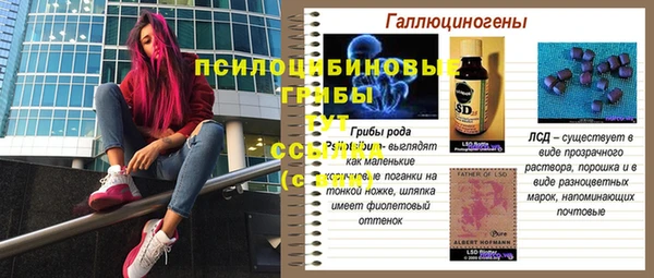 спиды Гусь-Хрустальный