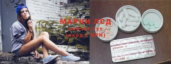 марки nbome Гусев
