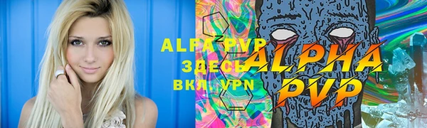спиды Гусь-Хрустальный