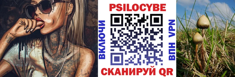 Псилоцибиновые грибы ЛСД  Калининец 